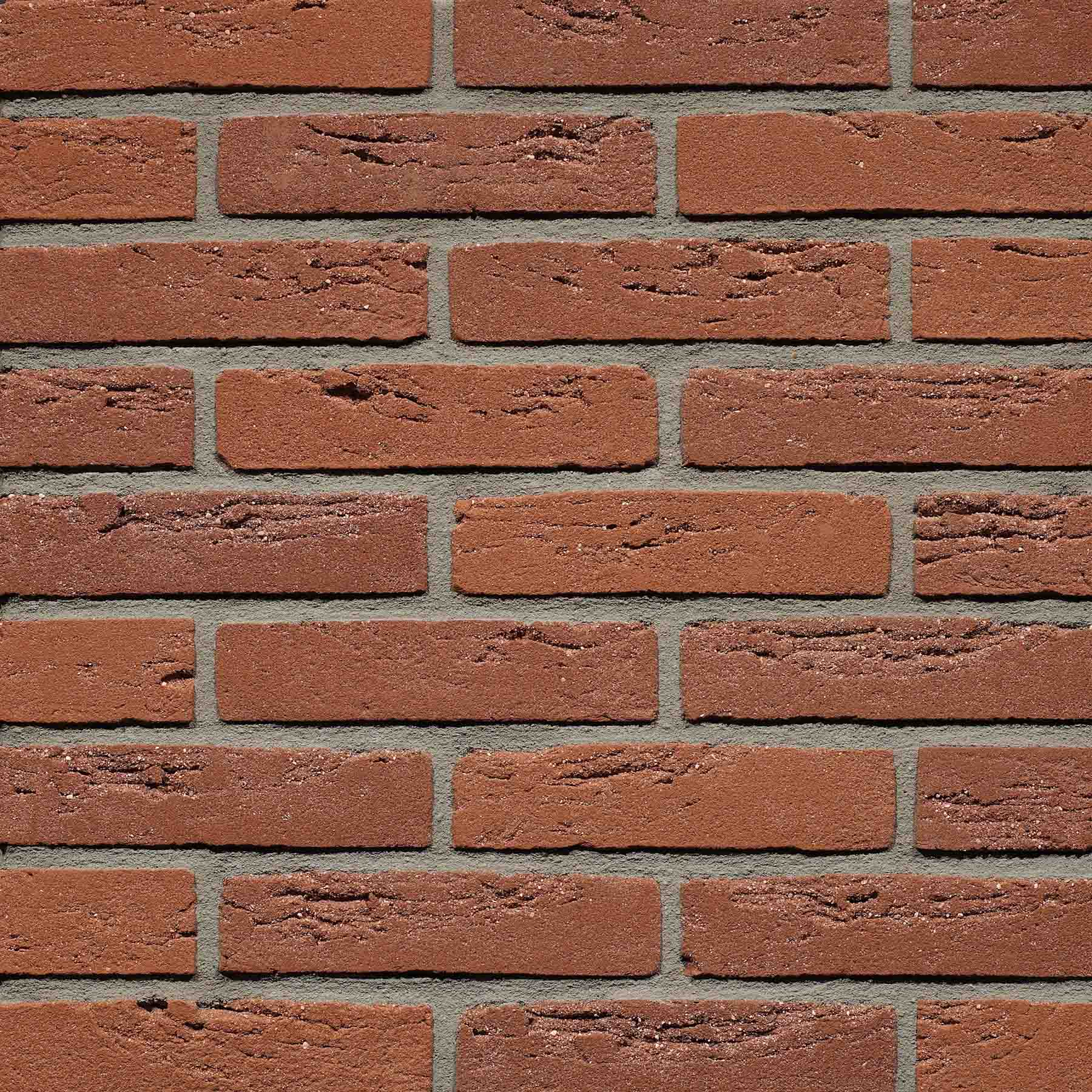 Gevelsteen BA1003 HV WF Rood