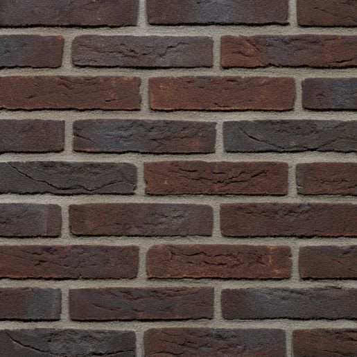 Gevelsteen NG1061 HV WF Paars Blauw Bont