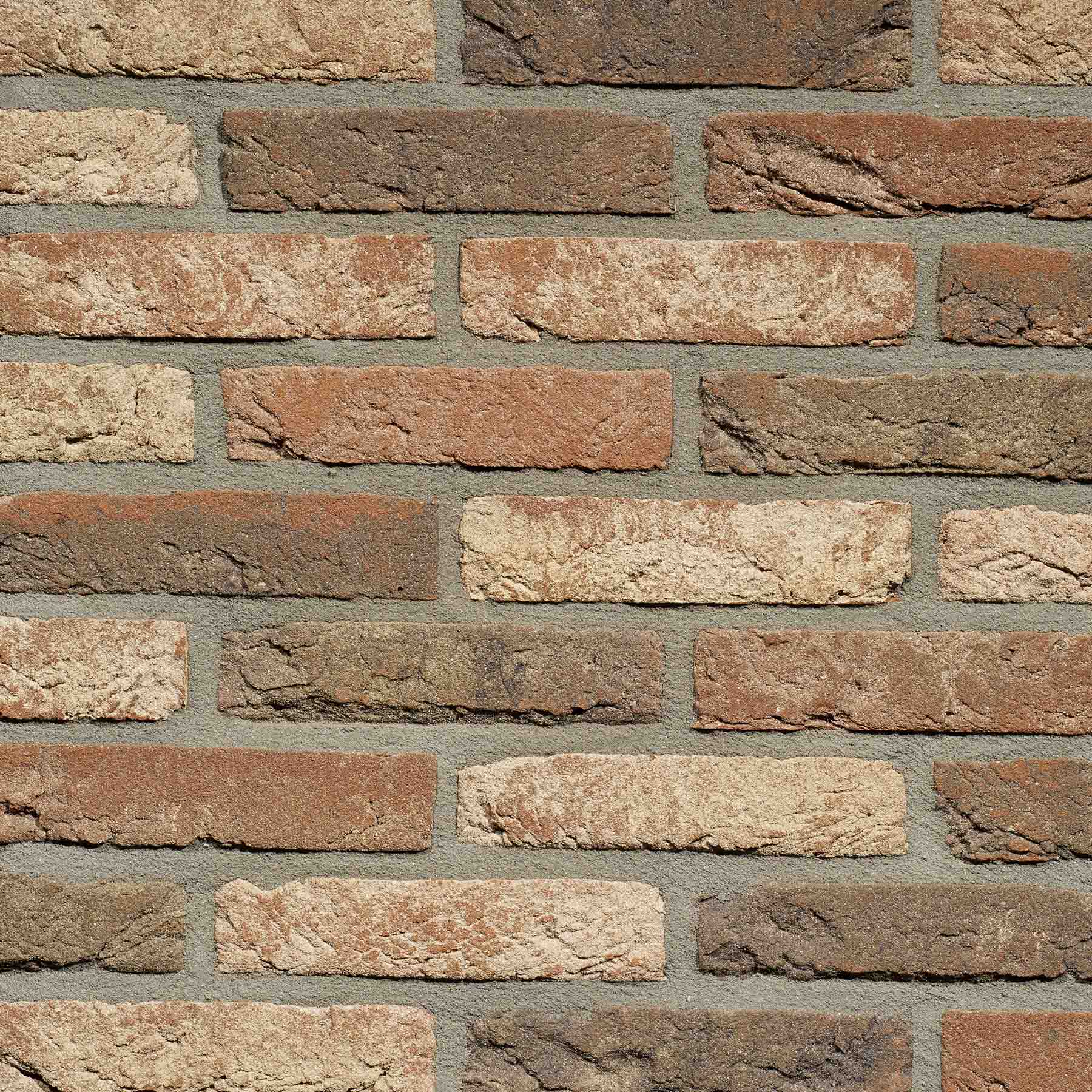 Gevelsteen HC1041 HV WF Brons Ivoor Bont