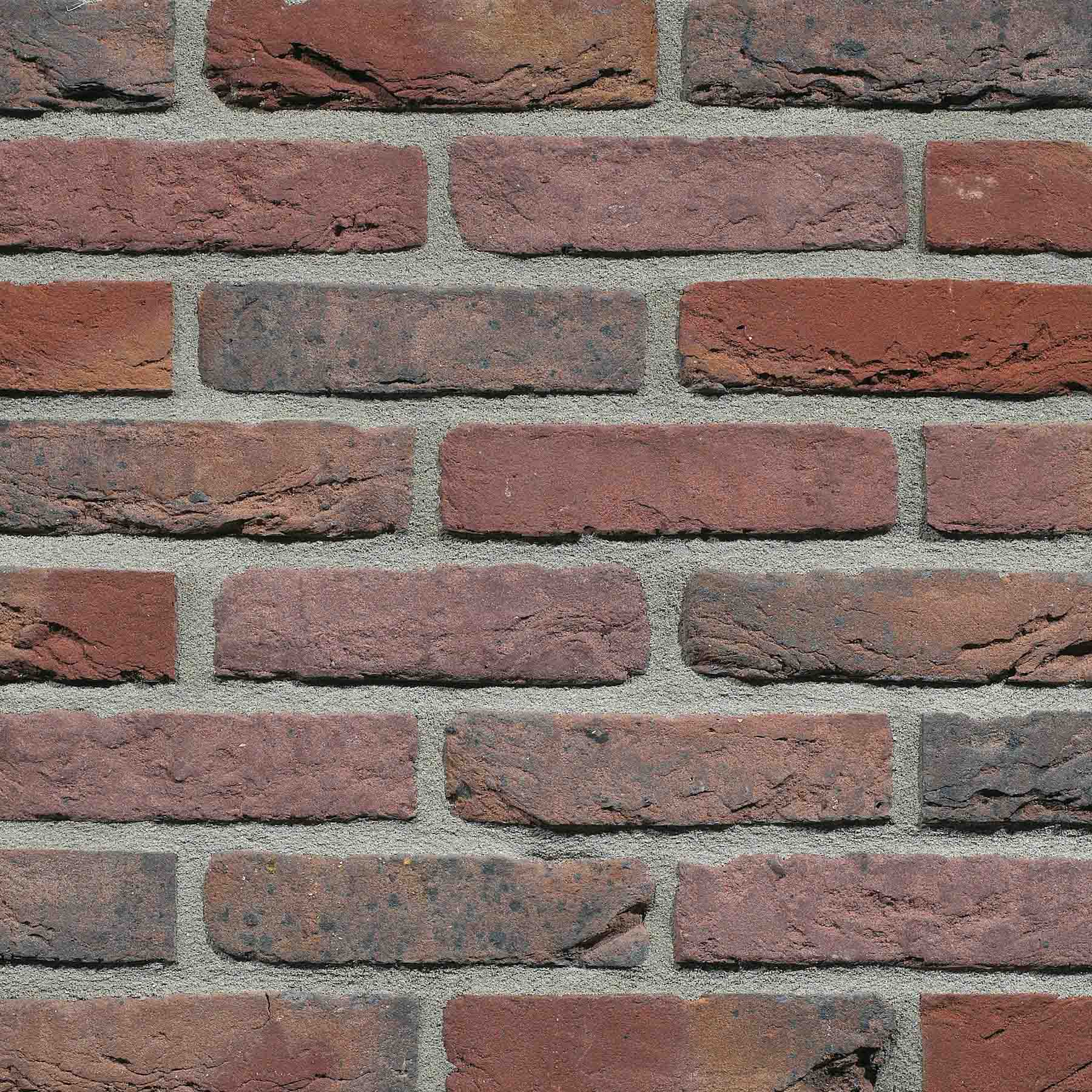 Gevelsteen KP1001 HV WF Rood Blauw Bont