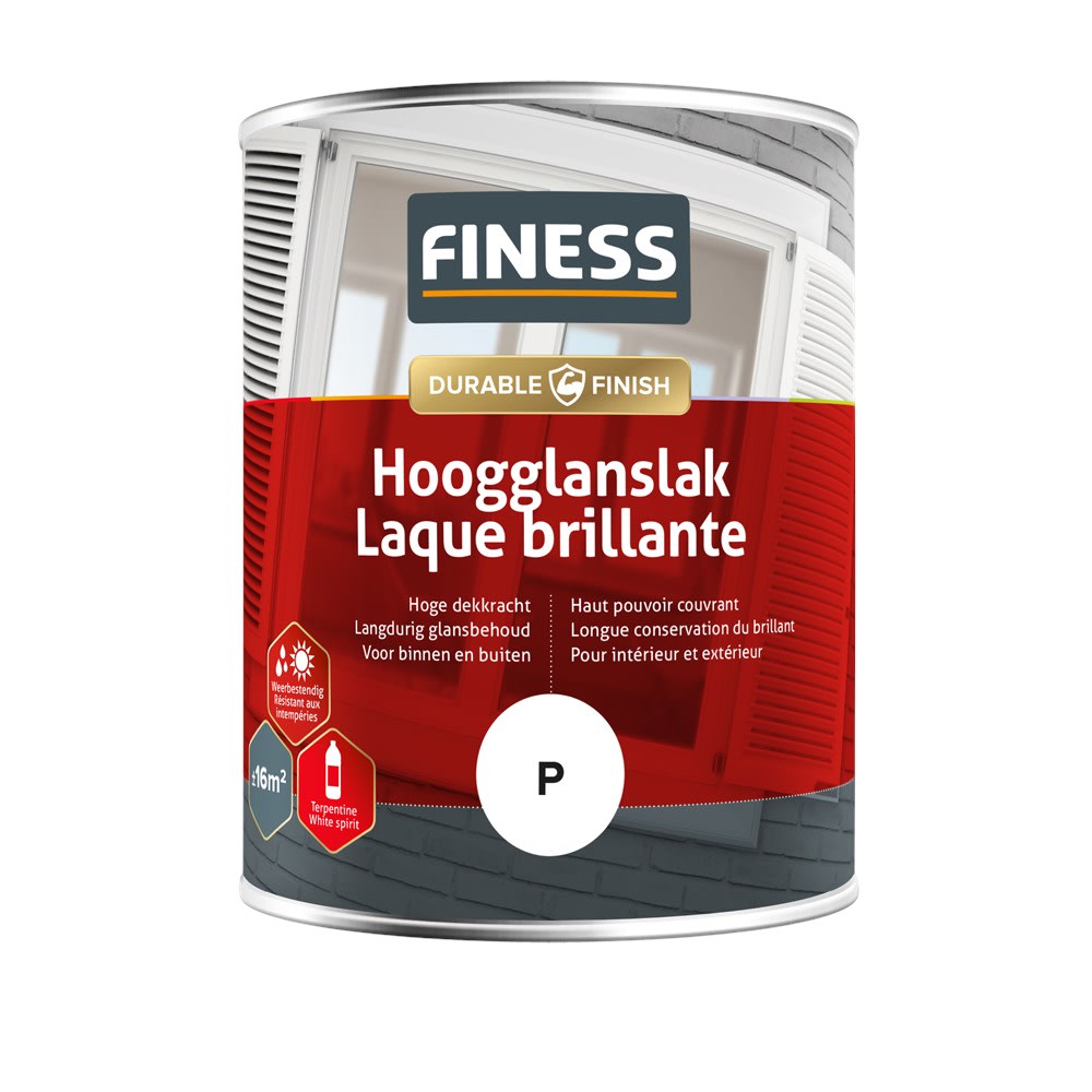 Finess Hoogglanslak Binnen/Buiten 1L Basis P