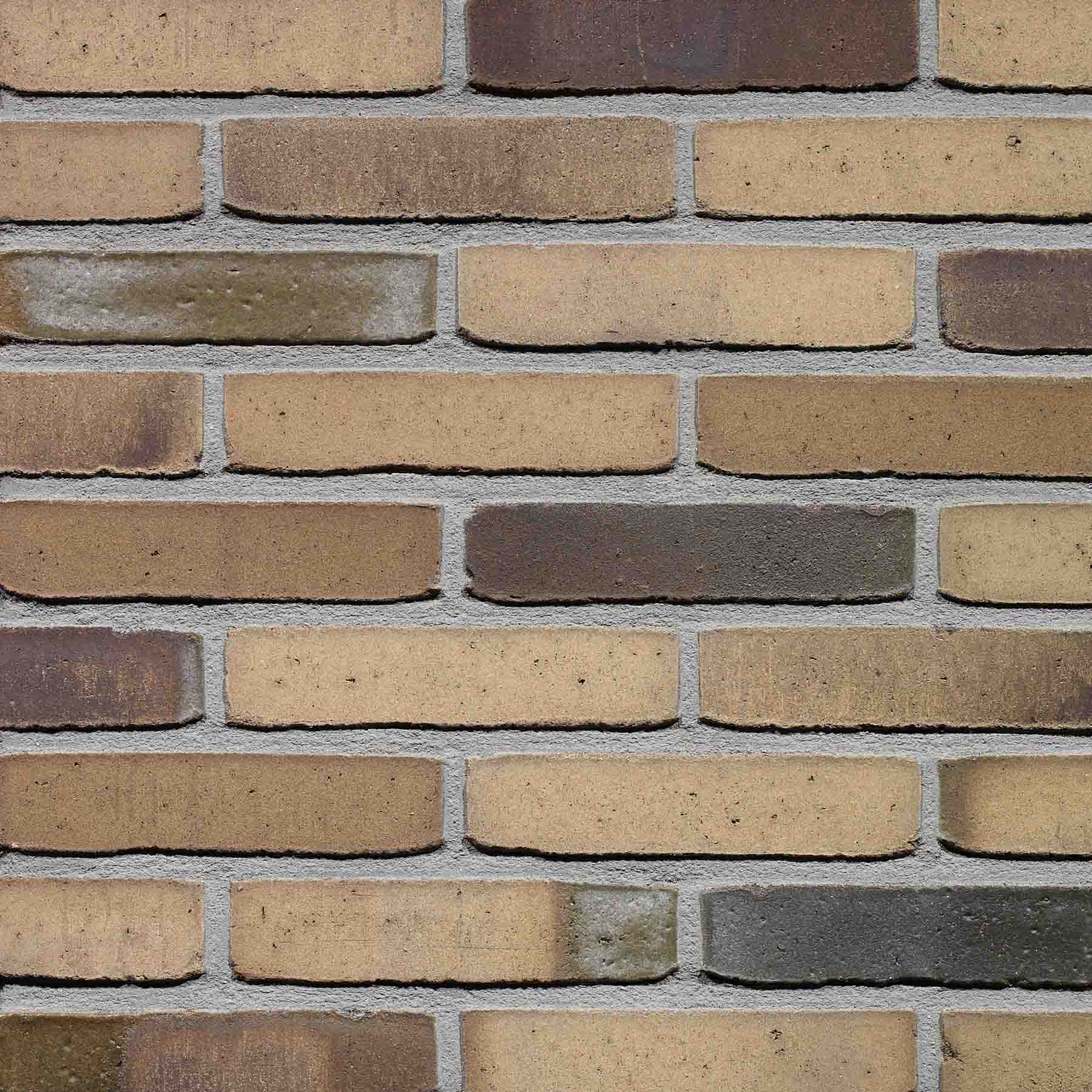 Gevelsteen DM1041 WS WF Grijs Bruin Genuanceerd