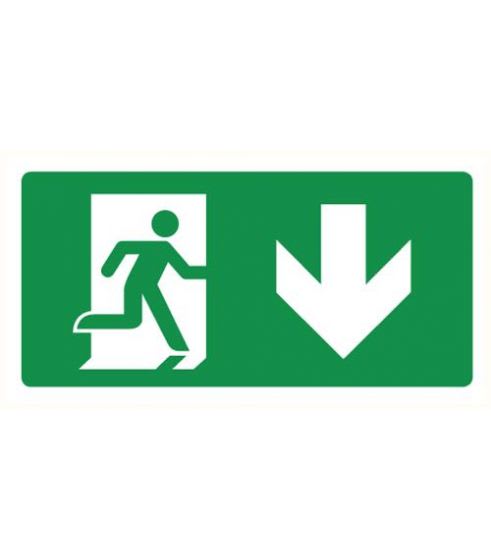 Bord Nooduitgang Omlaag Rechts 150x300mm Polypropyleen