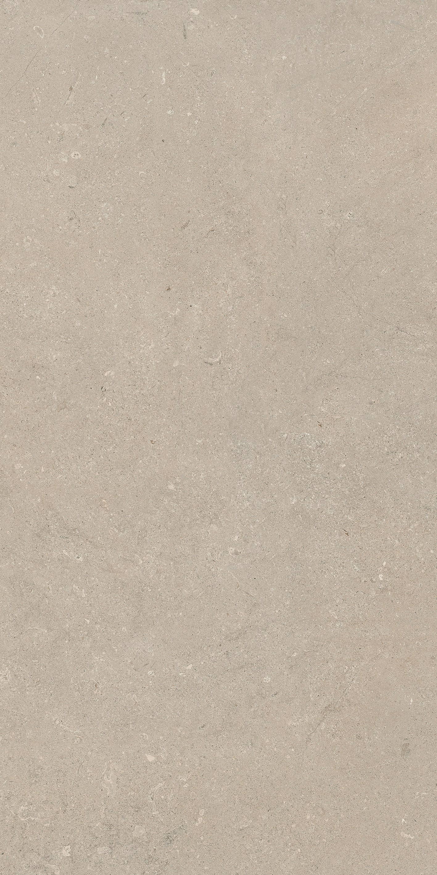 Terrastegel Authentic Luxe Stone Chablis 60x120cm 20mm Modulair Antislip Gerectificeerd R11