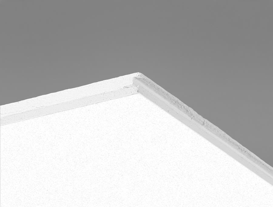 Ecophon Focus Dg 20mm 60x60cm T24 White Frost 20 Platen Per Pak