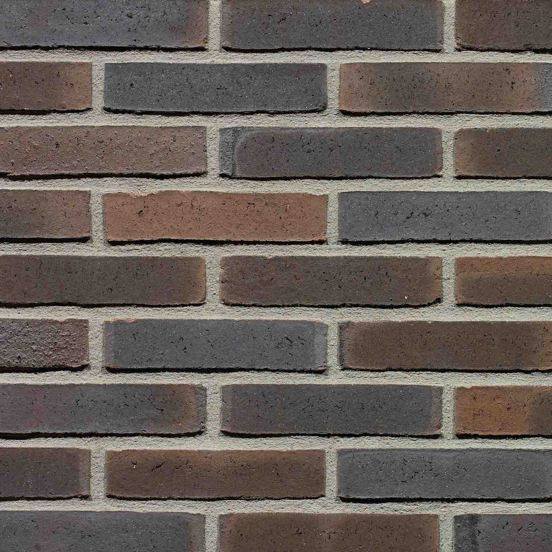 Gevelsteen DM1039 WS WF Mangaan Bont