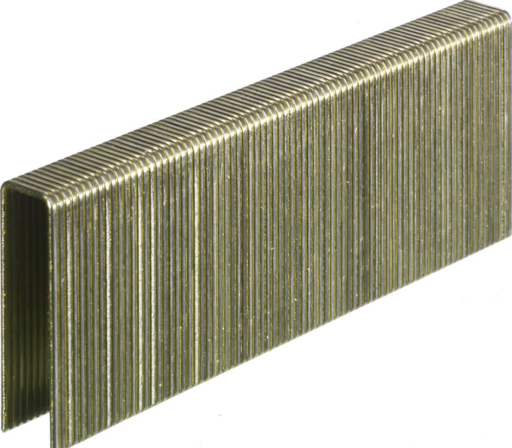 Senco Niet 38mm Verzinkt 10000st