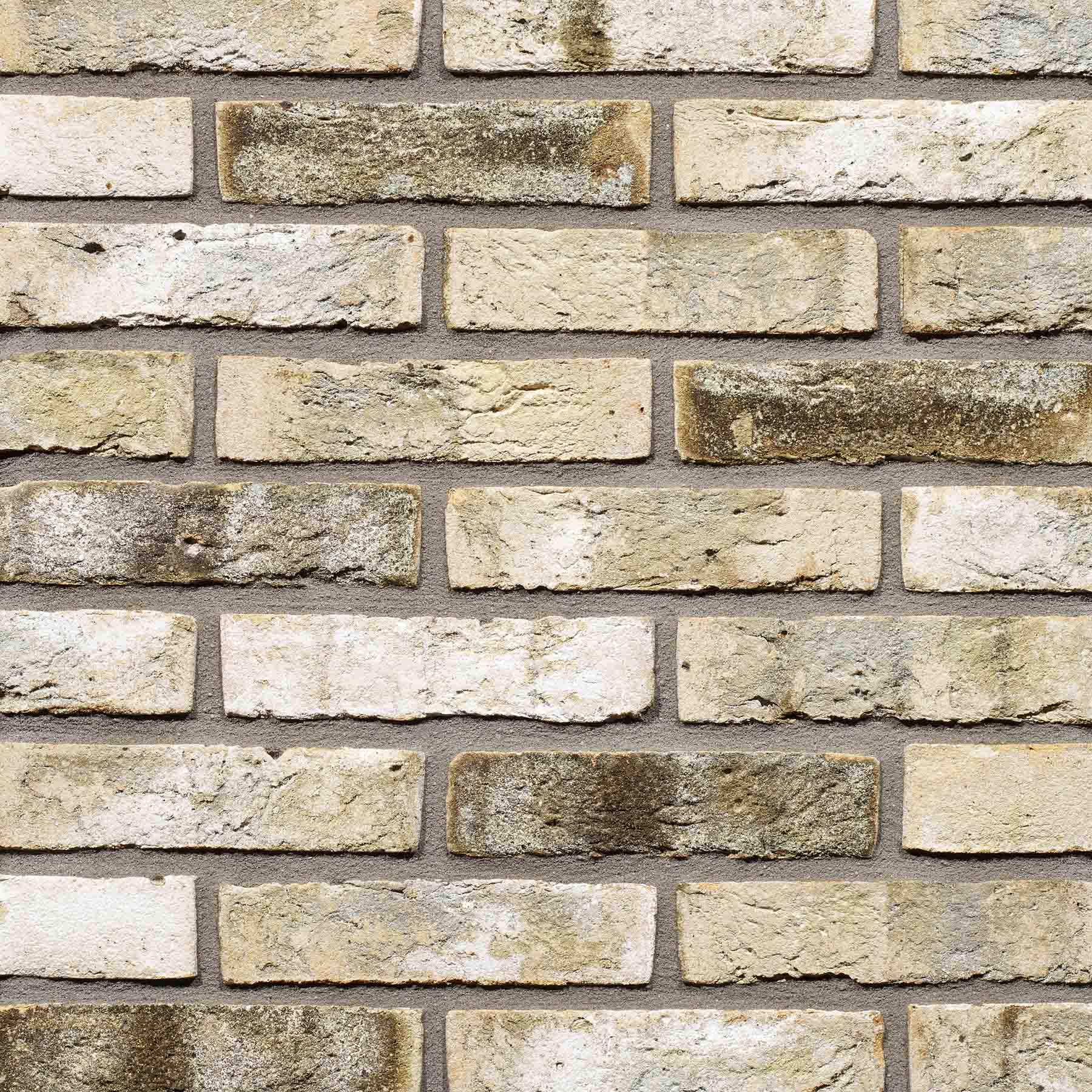 Gevelsteen MF1024 HV WF Geel Grijs Bont