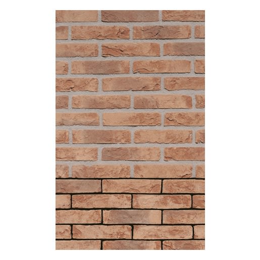 Gevelsteen CQ1001 HV WF Geelbruin Genuanceerd