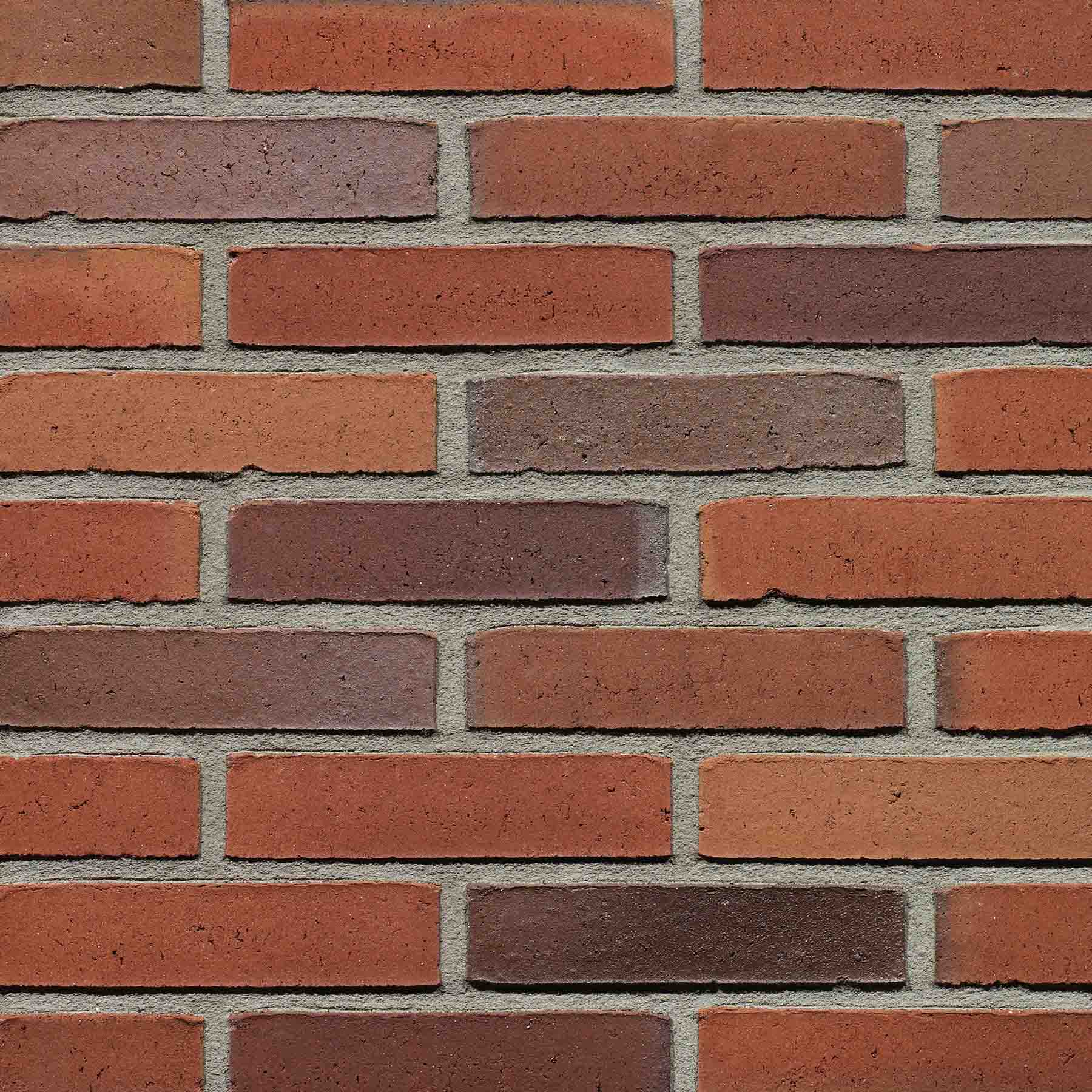 Gevelsteen DM1038 WS WF Rood Bont