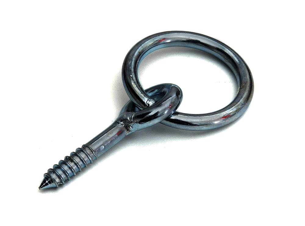 DX Aanlegring 10x80mm RVS A4