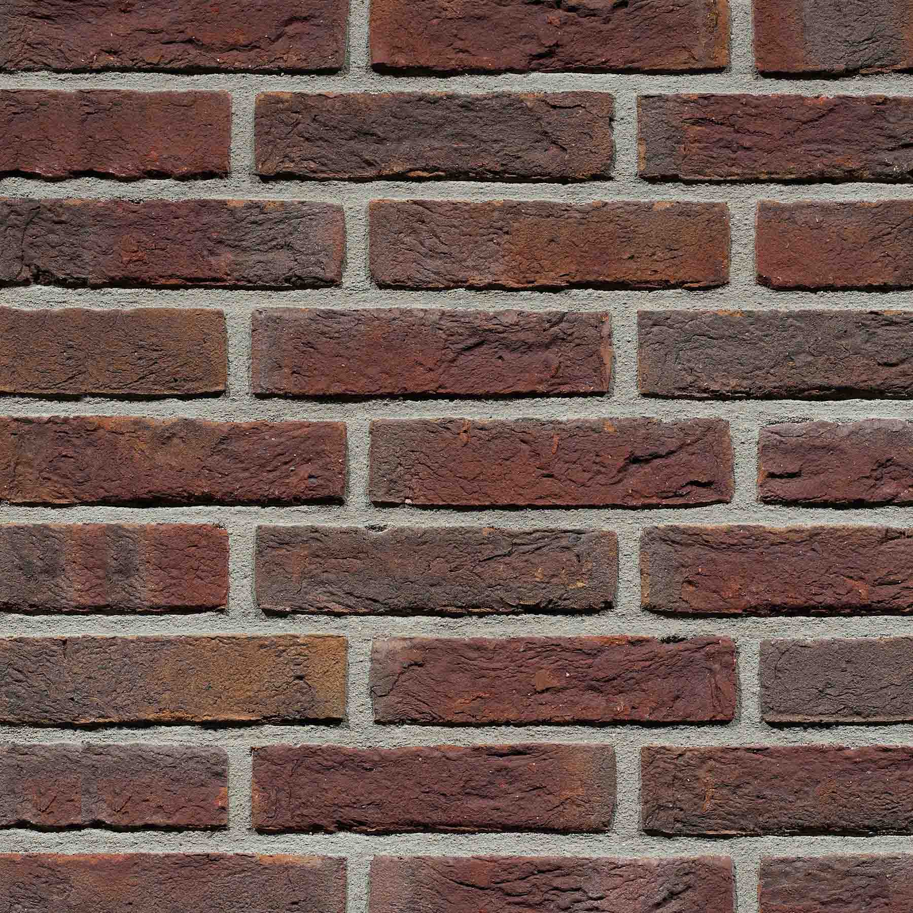 Gevelsteen MF1002 HV WF Paars Blauw Genuanceerd