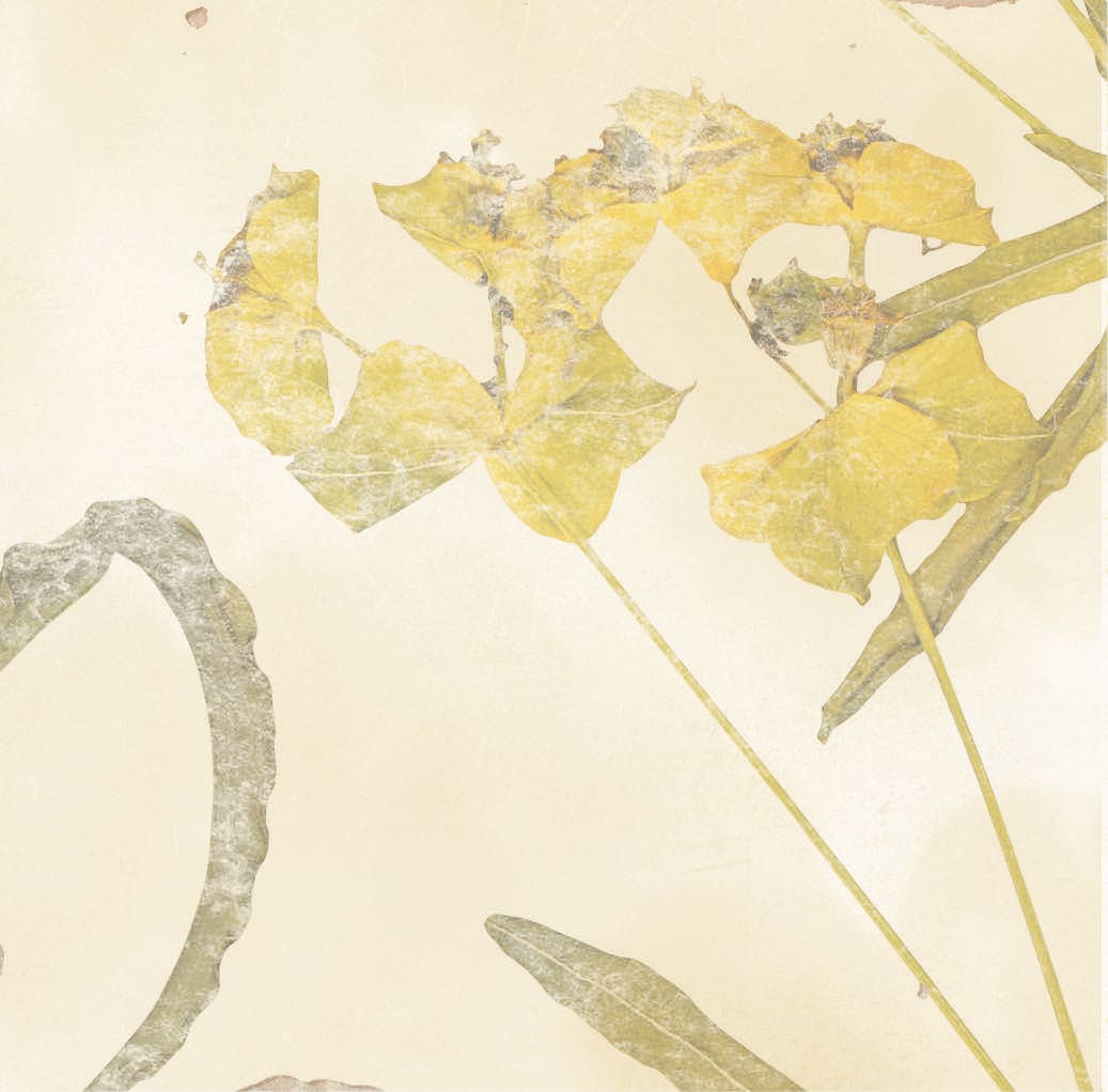 Product afbeelding voor Decortegel Souk Kasbah Ocre Mix 13x13cm 10mm Glanzend