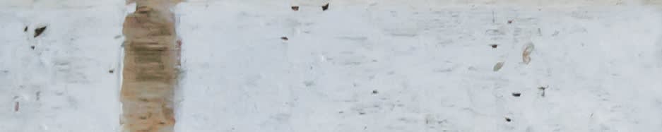 Product afbeelding voor Decortegel Porticciolo Brezza di Mare 5x25cm 9mm Mat