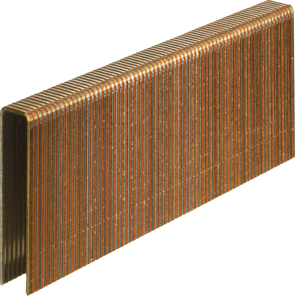 Senco Niet 50mm Verzinkt 1000st