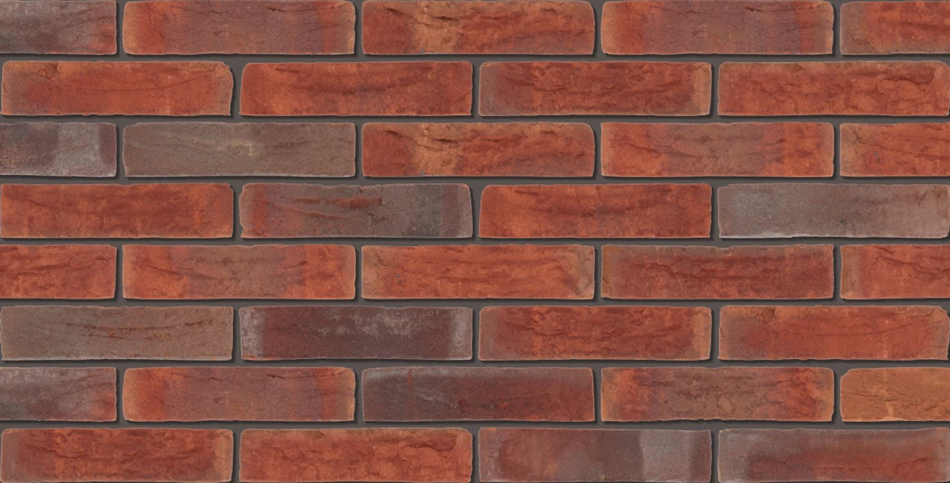 Gevelsteen EN1071 HV WF Rood Bont