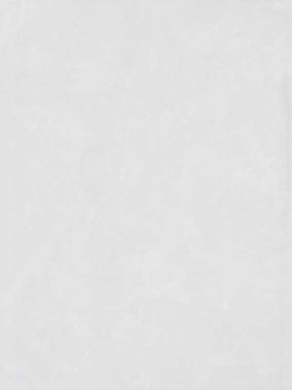 Product afbeelding voor Mosa Wandtegel Villa White-Grey 15x20cm 5,3mm Modulair Glanzend 45260-1520