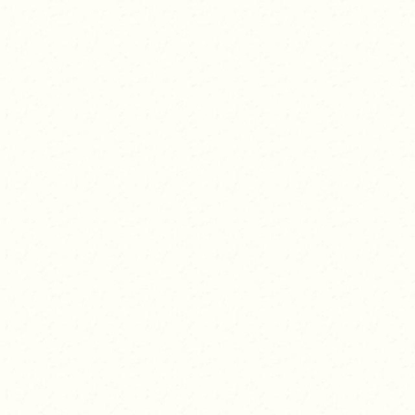 Trespa® Meteon® 6mm 305x153cm Dubbelzijdig Satin Pure White A05.0.0