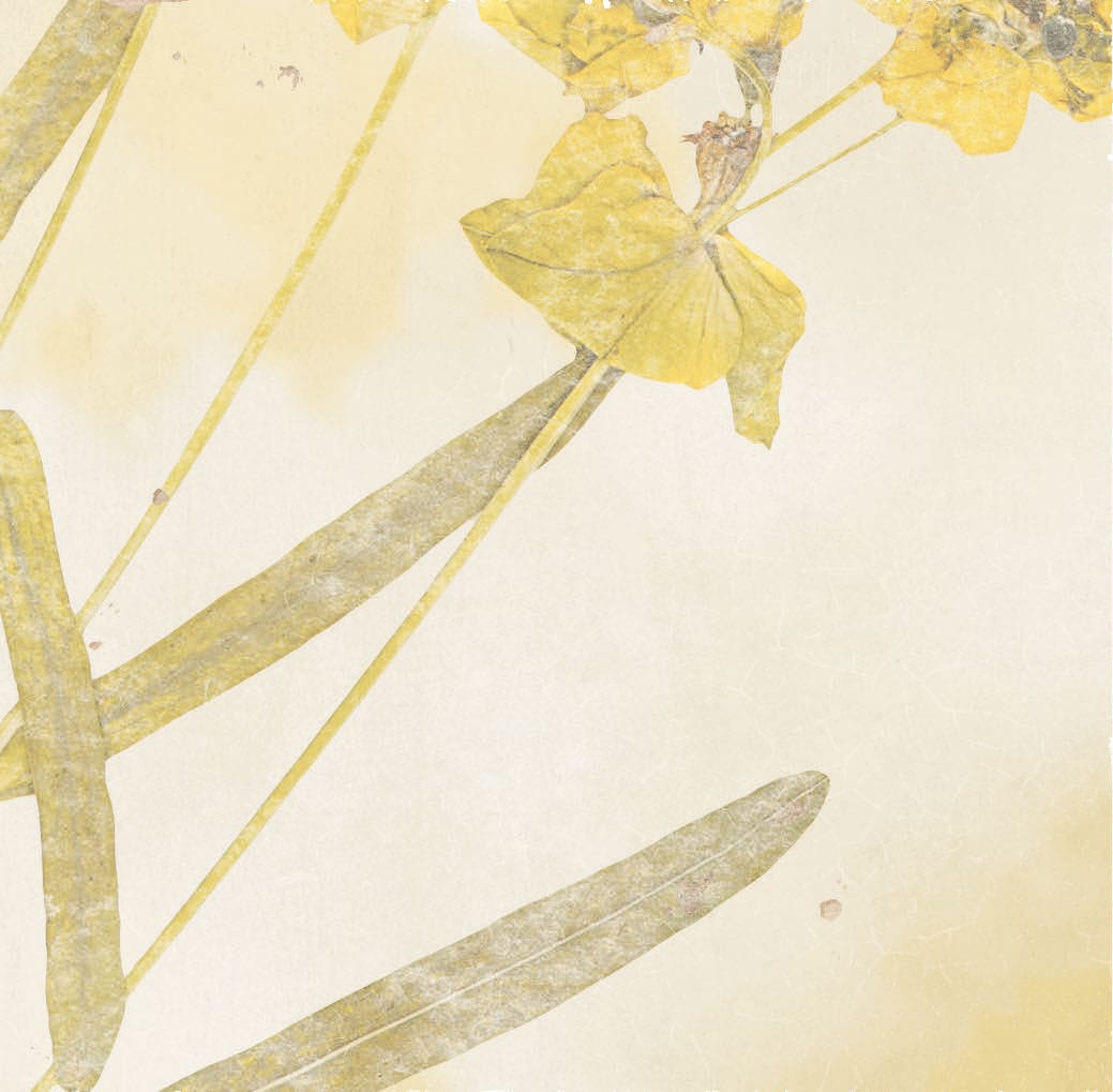 Product afbeelding voor Decortegel Souk Kasbah Ocre Mix 13x13cm 10mm Glanzend