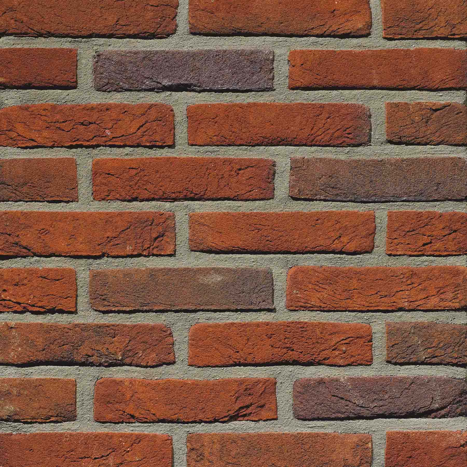 Gevelsteen HC1022 HV WF Rood Blauw Bont