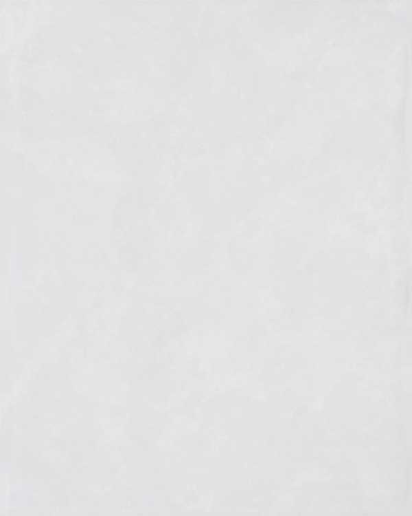 Mosa Wandtegel Villa Wit-Grijs 45260 20x25cm 7,4mm Modulair Glanzend 45260-2025