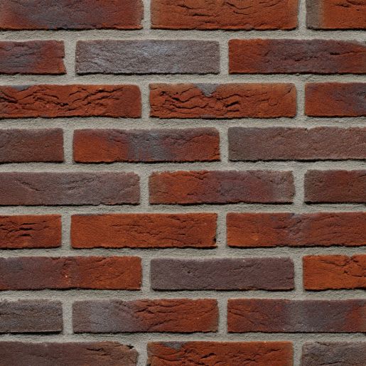 Gevelsteen NG1059 HV WF Rood Blauw Bont