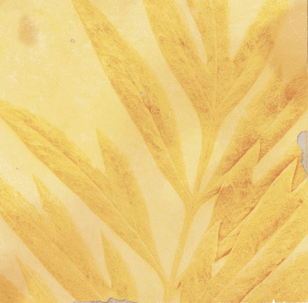 Product afbeelding voor Decortegel Souk Kasbah Ocre Mix 13x13cm 10mm Glanzend