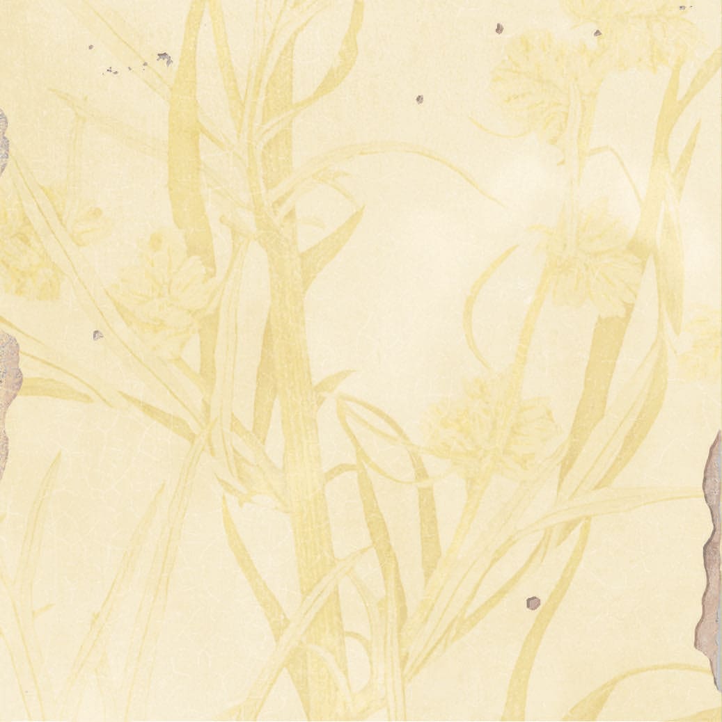 Product afbeelding voor Decortegel Souk Kasbah Ocre Mix 13x13cm 10mm Glanzend