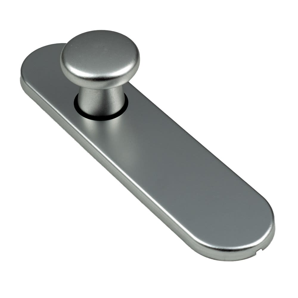 AMI Kortschild 177/1 Ovaal Blind Met Knop 177x44mm Aluminium F1