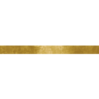 Strip SPA 2.0 Metallic 10x120cm 7mm Mat 1SPA29150J10
