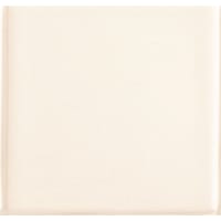 Vloertegel Pool Porc. Luz 10x10cm 10mm Glanzend