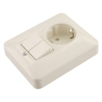 Busch-Jaeger SI Inbouw Combinatie Contactdoos/Serieschakelaar Randaarde Creme