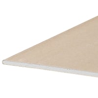 Gyproc Gyplat Stucplaat RK 9,5mm 200x60cm