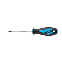 Witte Schroevendraaier Maxxpro T20 Torx