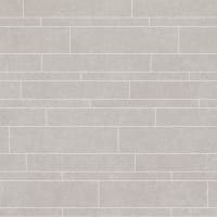 Procasa Vloertegel Elements Mix Grey 18 Stroken 6st 5x60cm 6st 10x60cm 6st 15x60cm Gerectificeerd R10