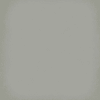 Vloertegel 1900 Jade 20x20cm 8mm Mat R9