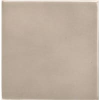 Vloertegel Pool Porc. Iron 10x10cm 10mm Glanzend