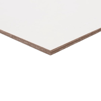 Paintplex 9mm 244x122cm 10Jaar Garantie FSC Mix 70%