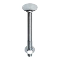 Fis-Profi Slotbout M6x25mm Laagbolkop DIN603/555 Verzinkt 4.8 Met Moer 125st