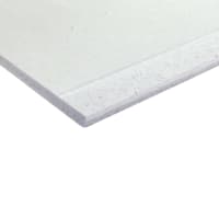 Fermacell Gipsvezelplaat Slimpanel 2AK 12.5mm 260x60cm