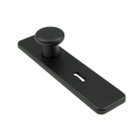 AMI Kortschild 160/40 Recht Met Knop En Sleutelgat 185x44mm SL56 Aluminium Zwart