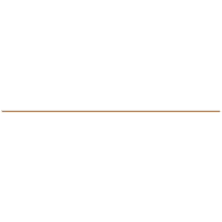 Strip Fosil Delta Cobre 0,5x100cm Mat/Glanzend Gerectificeerd