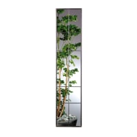 Skantrae Glas In Lood 30 Voor E040 88x211.5cm Essence