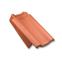 Nels F12U-Z 701 Gevelpan L In Natuurrood