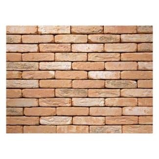 Product afbeelding voor Gevelsteen KX6029 HV M50 Geel Grijs Wit