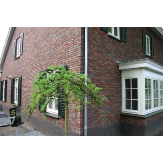 Product afbeelding voor Kloosterwaard Exclusive Hertogenbosch Handvorm Waalformaat