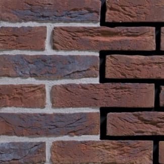 Product afbeelding voor Gevelsteen HV1009 HV WF Paars Blauw