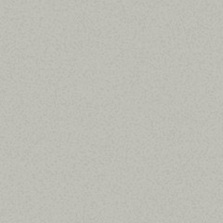 Product afbeelding voor Villeroy & Boch Vloertegel Pro Architectura 3.0 Secret Grey 20x20cm 8,2mm Mat R10 2600C4600010