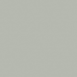 Product afbeelding voor Trespa® Meteon® 6mm 305x153cm Enkelzijdig Satin Silver Grey A03.4.0