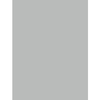 Product afbeelding voor Mosa Wandtegel Holland Plus Licht Koel Grijs 16870 33x25cm 7mm Glanzend 2237